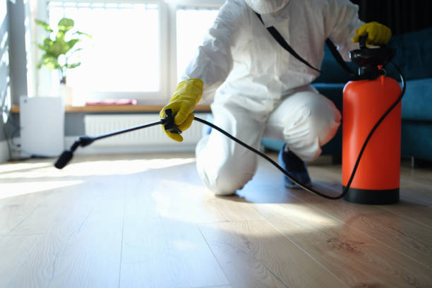 Reliable Hoarding Cleanup contractor in New London, TX by Crime Scene Cleaner Online